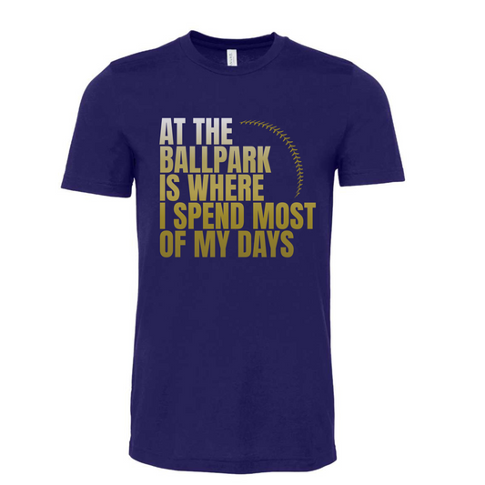 Baseball Graphic Tee Shirt